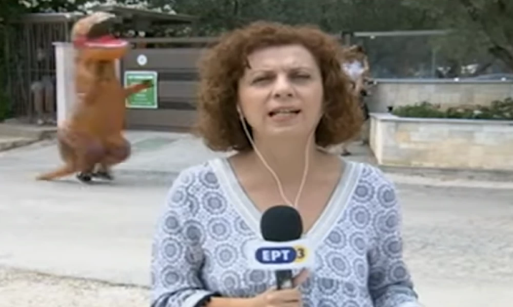 «Δεινόσαυρος» εμφανίζεται σε πλάνο ζωντανής μετάδοσης της ΕΡΤ!